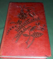 1915.Gárdonyi Géza - Átkozott józanság regény könyv a képek szerint DANTE