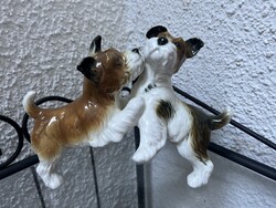 Cuki ENS kutya