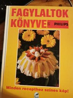 Fagylaltok könyve (10)