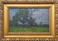 István Bosznay (1868 - 1944) Lankóczy Forest 1908 oil painting with Original Guarantee