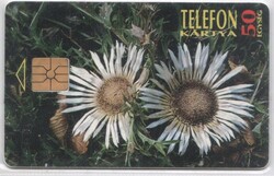 Magyar telefonkártya 1359 Szártalan bábakalács   GEM 1 nincs Moreno 375.000 Db. .