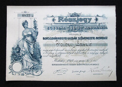 Borsodvármegyei Gazdák Szövetkezete részjegy 100 korona 1918 - Miskolc