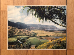 Mid-century Hawaii képeslap, nagyméretű, postatiszta 1947