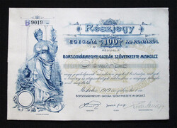 Borsodvármegyei Gazdák Szövetkezete részjegy 100 korona 1919 - Miskolc