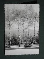Képeslap,Mátra táj,téli erdő látkép,részlet,1961-