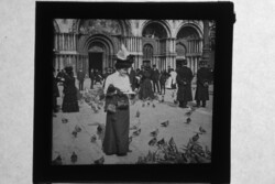 Antik üvegpozitív fotó 5x5cm galambokat etető nő a Szt. Márk téren Velencében 1900as évek eleje