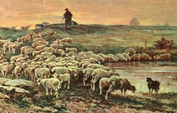 Képeslap: Tájkép, juhok. Stengel 29040.