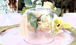 Üveg búra / cloche