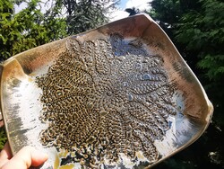 Artistic Ceramic Serving Plate,