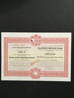 Zalai Nyomda Rt. Törzsrészvény Minta! 1991.