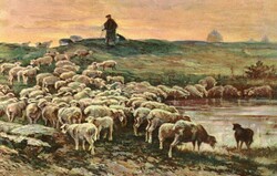 Képeslap: Tájkép, juhok. Stengel 29040.