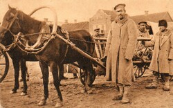 Képeslap:  Ló, lovak. Katonák 1916-ban.