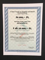 SASAD Termelő és Szolgáltató Szövetkezeti Rt. Részvény MINTA! 1991.