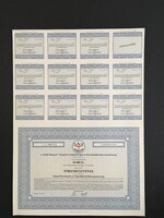 DAM Diósgyőri Acélművek Ipari és Kereskedelmi Rt. Törzsrészvény 1997.