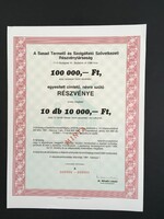 SASAD Termelő és Szolgáltató Szövetkezeti Rt. Részvény MINTA! 1991.