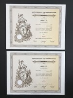 Gönc és Vidéke Szövetkezeti Takarékpénztár 2 db sorszámkövető Részjegy 1991.