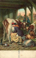 Képeslap: Tehén. Stengel 29267.