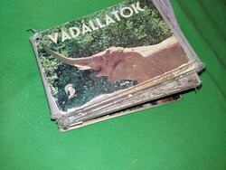 984.Kisbán Gyula - Régi leporellós lapozgató VADÁLLATOK mini képes könyv a képek szerint MINERVA