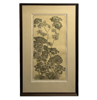 Németh András (1941- ) Kapor - művészien elkészített grafika keretezve /számlát adunk hozzá/