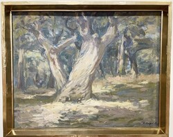 S. Unger Károly(Vassurány, 1919 -1977 Szombathely) : Öreg tölgyfák 1961