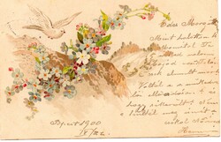Képeslap: Madarak, virágok. 1900.