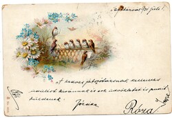 Képeslap: Madarak, virágok. 1901.