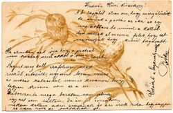 Képeslap: Madarak, virágok. 1901.