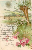 Képeslap:  Virágok. 1900.
