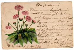 Képeslap:  Virágok. 1901.