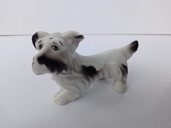 Porcelán Terrier kutya figura