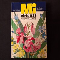 Dietmar Aichele  |  M.golte Bechtle Mi virít itt? - Virágkalauz