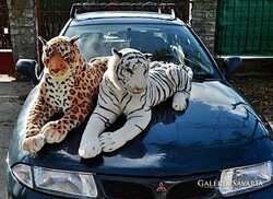 Óriás méretű, teljes mértékben élethű megjelenésű, 2 db. Plüss tigris, (168 cm!). Újnak mondható, fé