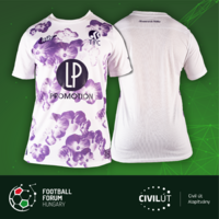Toulouse FC hivatalos csapatmeze