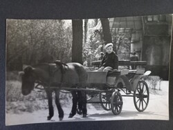 Régi  fotó kisfiú lovaskocsin  kb. 1960-es évek eleje