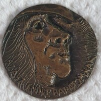 Somogyi József Szász Endre barátomnak bronzrelief