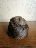 Nutria kucsma
