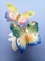 ENS PILLANGÓK (250511)