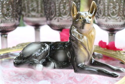 Hóllóházi Német juhász kutya