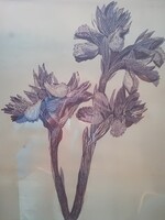 Makrisz Zizi Lila virágok ü.alatt,kerettel 61x43 cm Makrisz Agamennon szobrász felesége