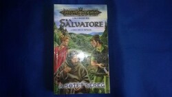 R.A Salvatore : A sötét sereg