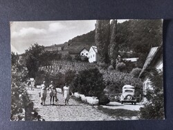 Régi képeslap Badacsony, Szőlőhegy-részlet, Oldtimer 1960