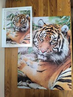 Clementoni puzzle - Szumátrai tigris 1000 db