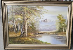 Gyönyörű tájkép 90*60