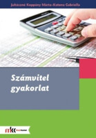 Számvitel gyakorlat - Juhászné Koppány Márta, Katona Gabriella