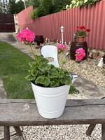 Budafoki Rocska , sajtár zsétár fejővödör vödör  nosztalgia, dísznek ,gyűjtői darab