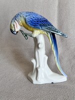 Ritka papagáj Volkstedt porcelán figura (P0024)