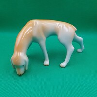 Káldor Aurél Hollóházi porcelán  Magyar vizsla kutya figura