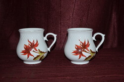 2 db Hollóházi pocakos bögre  ( DBZ 00113 )