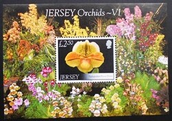 Jerb68 / Jersey 2006 Orchideák blokk postatiszta