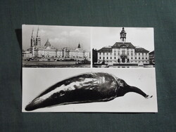 Képeslap,Szeged,mozaik,Tisza part,Tanácsháza,paprika látkép,részlet, 1957-